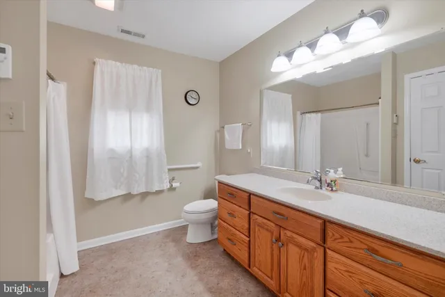 a bathroom with a double vanity sink mirror and toilet