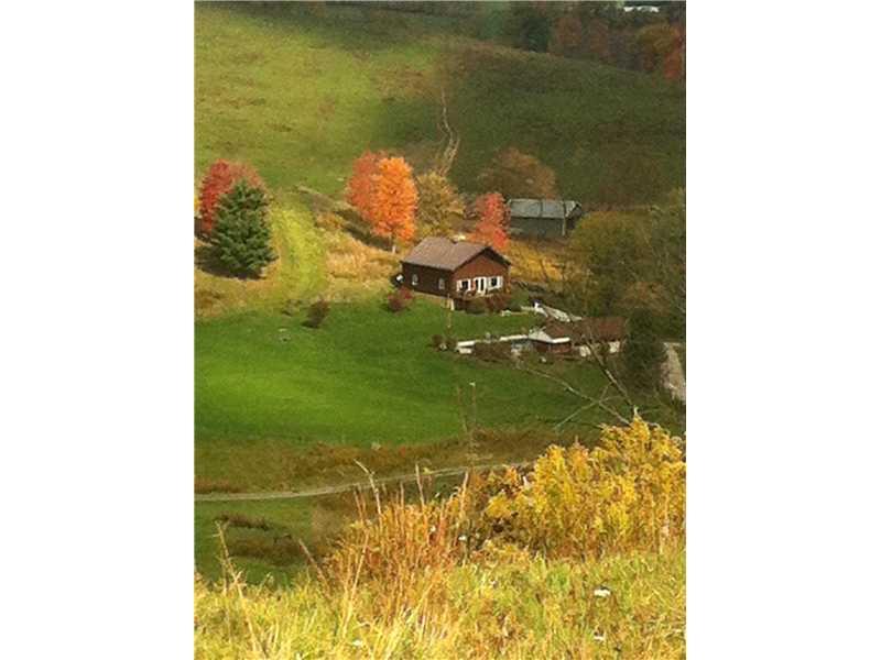 385 Bacon Run Road Clarksville, PA 15322 - Photo 25 of 25 Land/Lot. Beautiful setting.