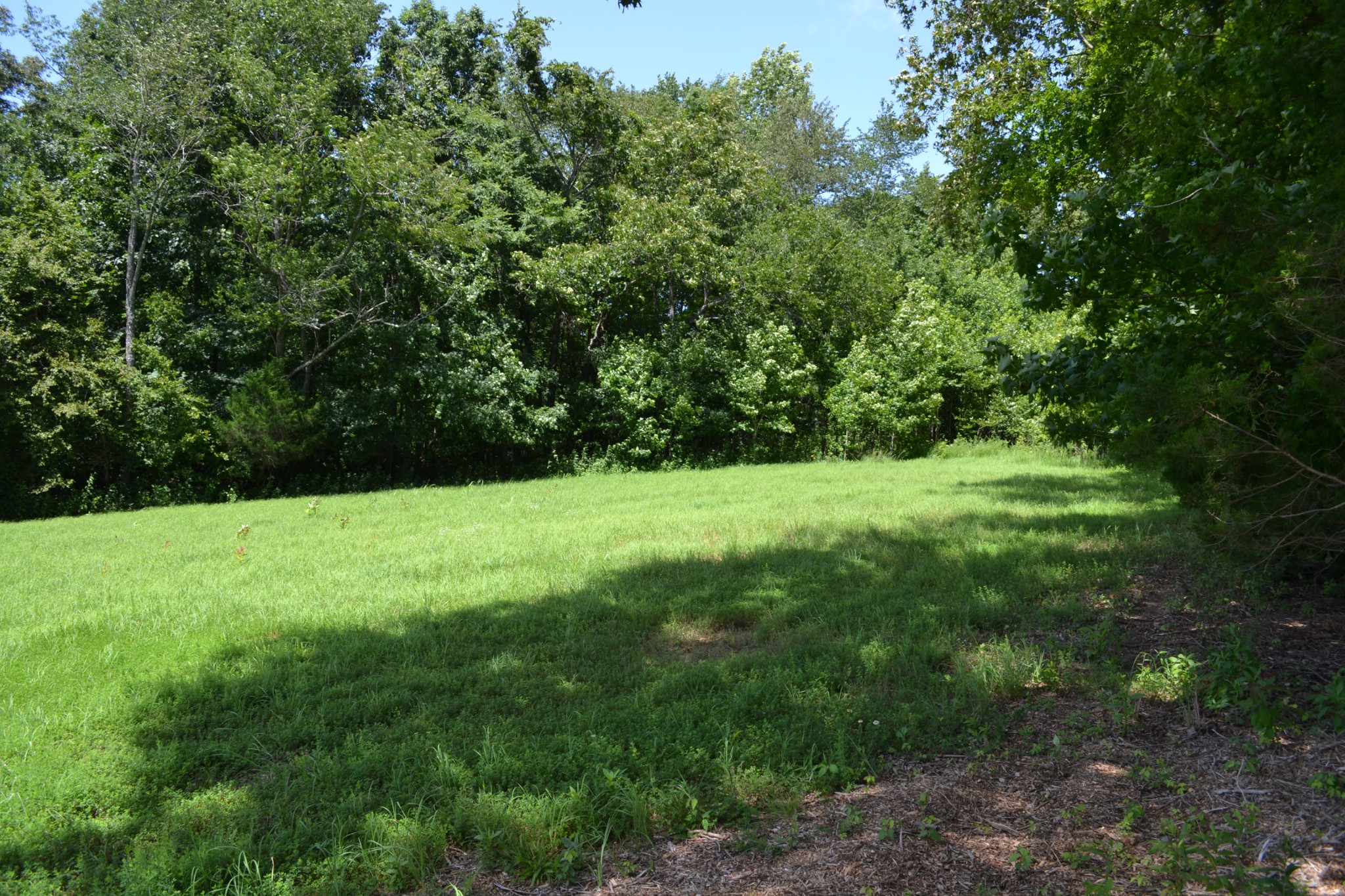 17 Hayes Ridge Road Indian Mound, TN 37079 - Photo 11 of 13 a view of an outdoor space with a lake view