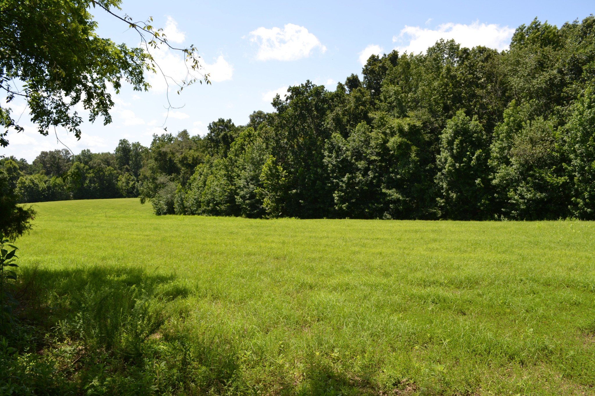 17 Hayes Ridge Road Indian Mound, TN 37079 - Photo 13 of 13 a view of outdoor space and yard
