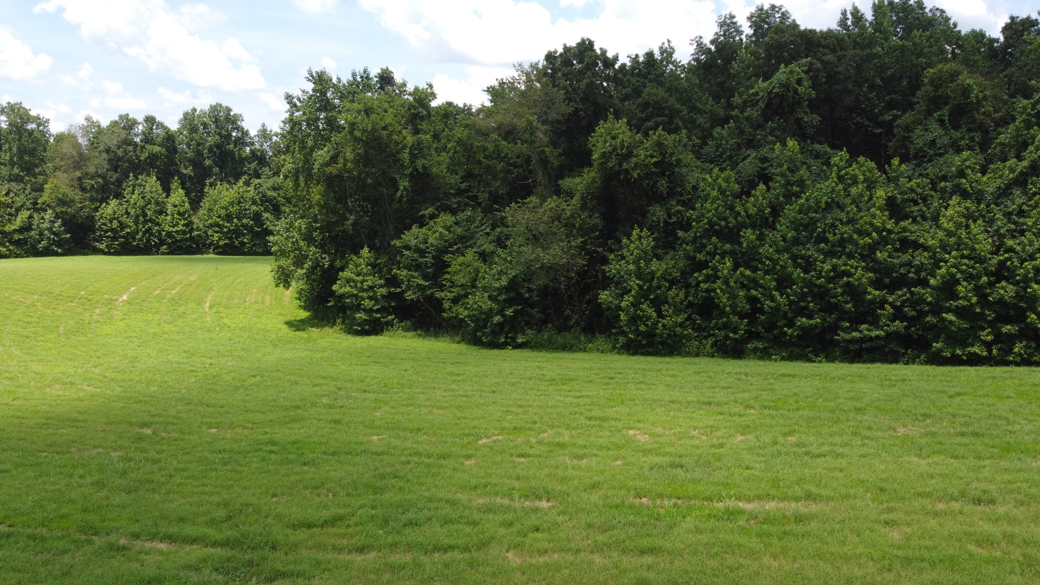17 Hayes Ridge Road Indian Mound, TN 37079 - Photo 4 of 13 a view of a field with an trees