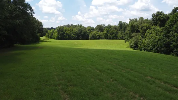 a view of a field of grass and trees