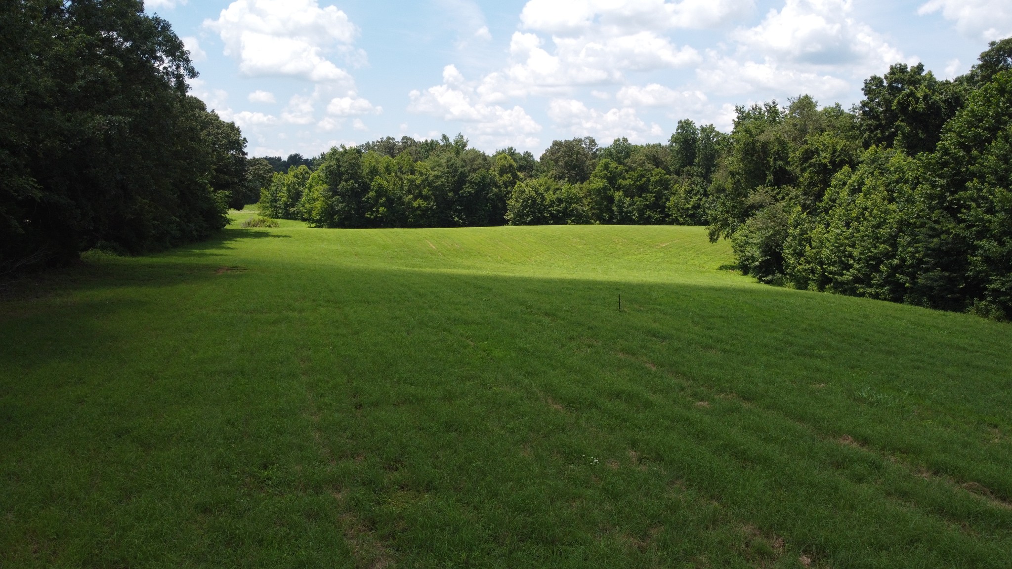 17 Hayes Ridge Road Indian Mound, TN 37079 - Photo 5 of 13 a view of a field of grass and trees