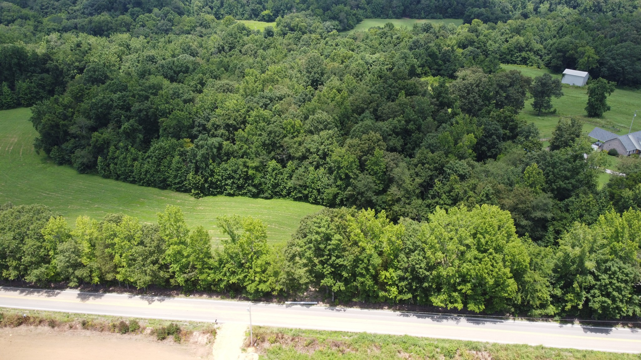 17 Hayes Ridge Road Indian Mound, TN 37079 - Photo 8 of 13 a view of a yard with a fountain