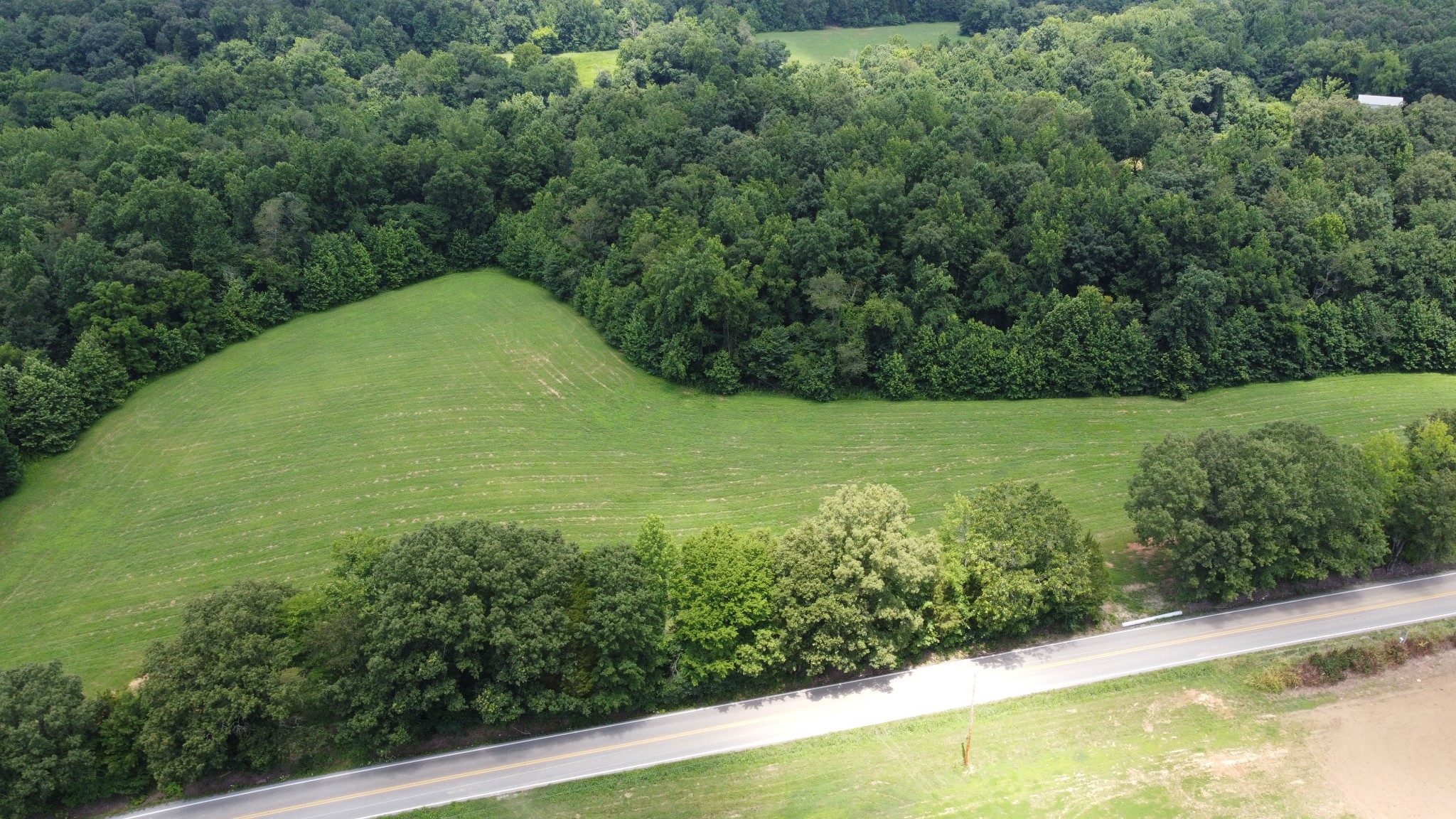 17 Hayes Ridge Road Indian Mound, TN 37079 - Photo 9 of 13 a view of a garden with a building in the background