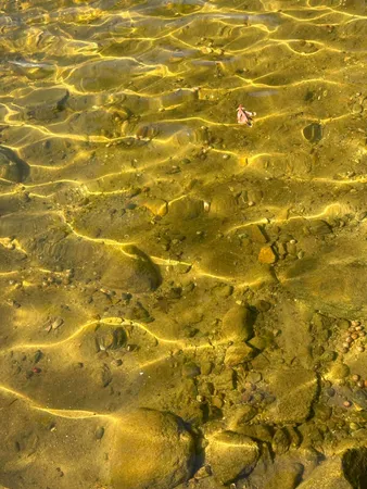 $195,000 | 4435 Indian Road, Battle Creek, MI 49017