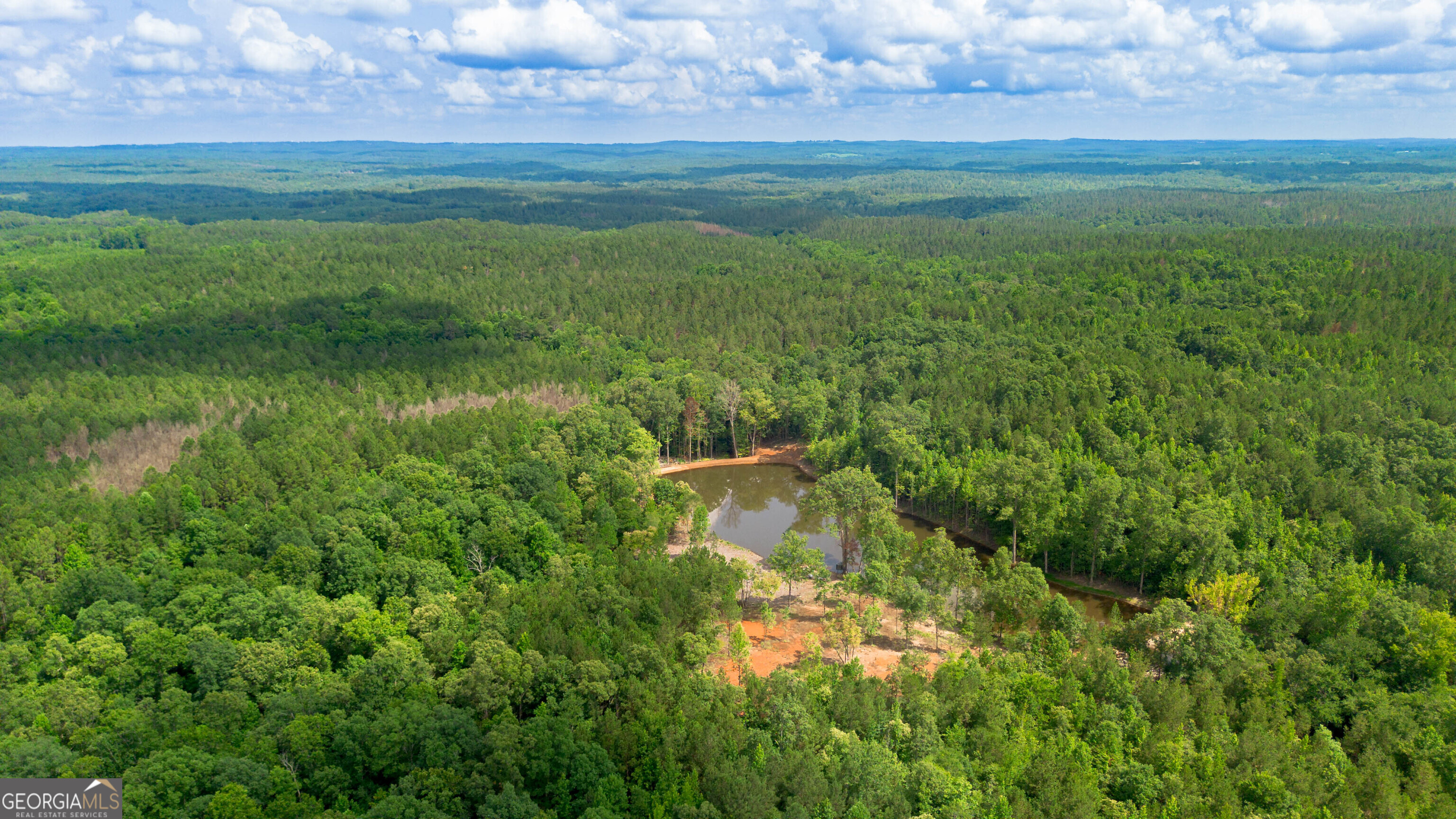 0 Vineyard Fruithurst, AL 36262 - Photo 2 of 21