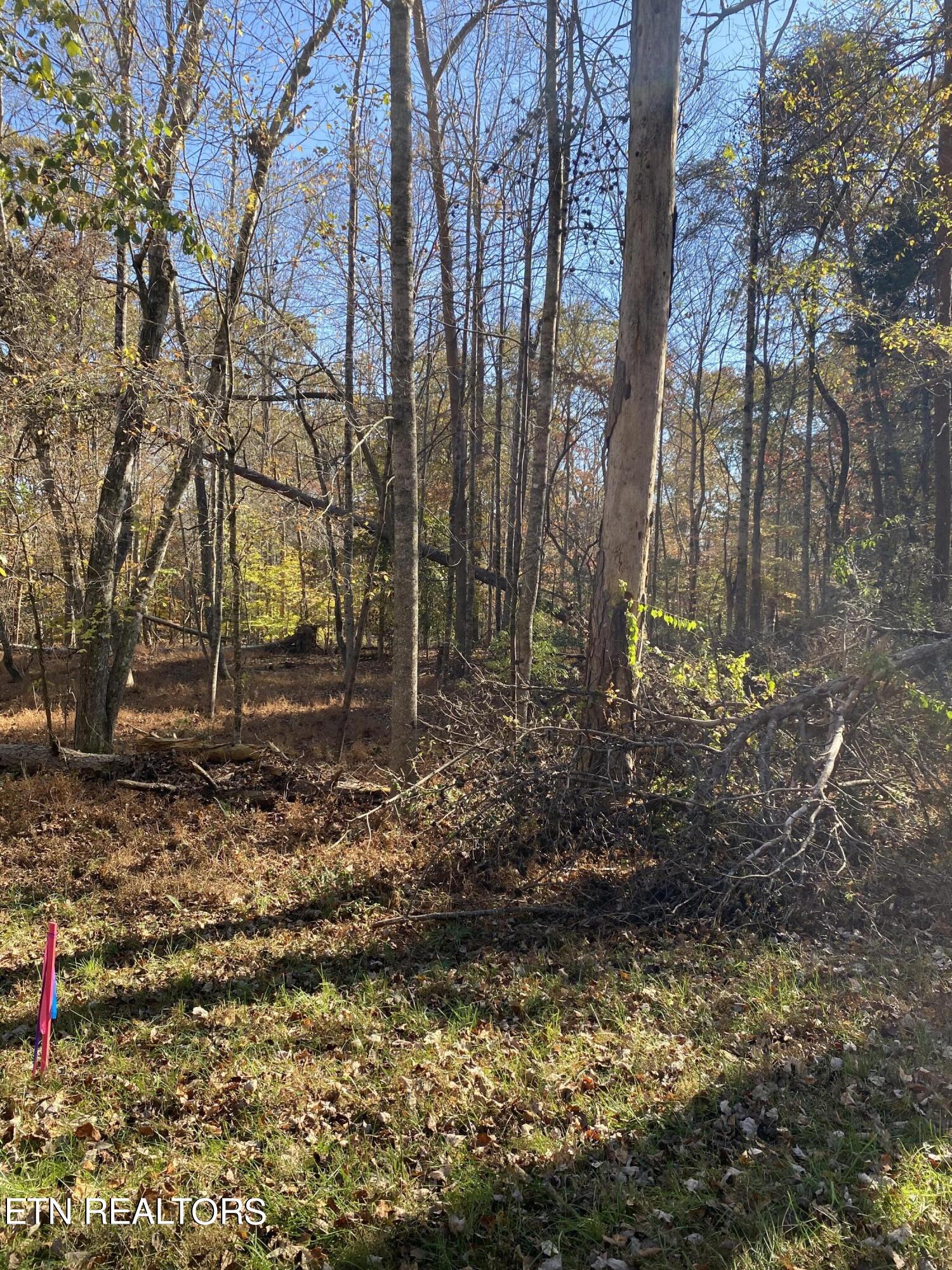 Fox Hollow Road Andersonville, TN 37705 - Photo 1 of 4 IMG_0585