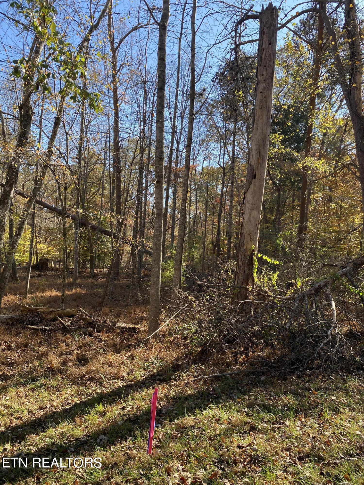 Fox Hollow Road Andersonville, TN 37705 - Photo 2 of 4 IMG_0586