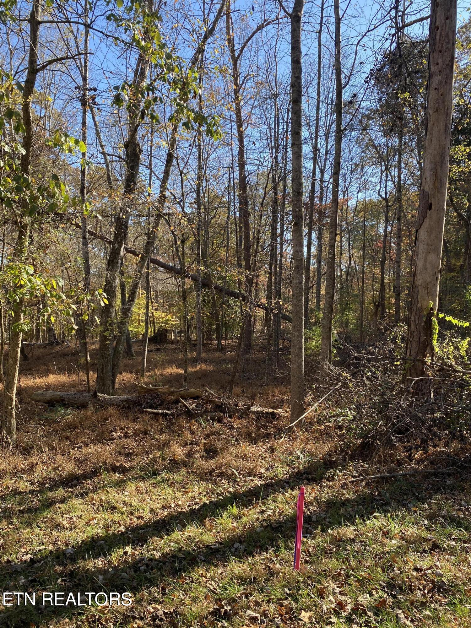 Fox Hollow Road Andersonville, TN 37705 - Photo 3 of 4 IMG_0587