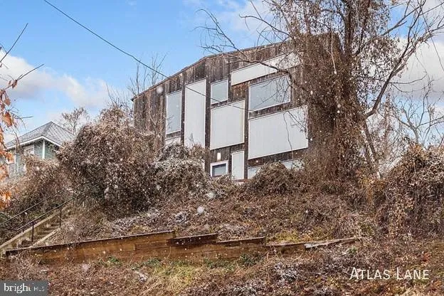 a view of a house with a large tree