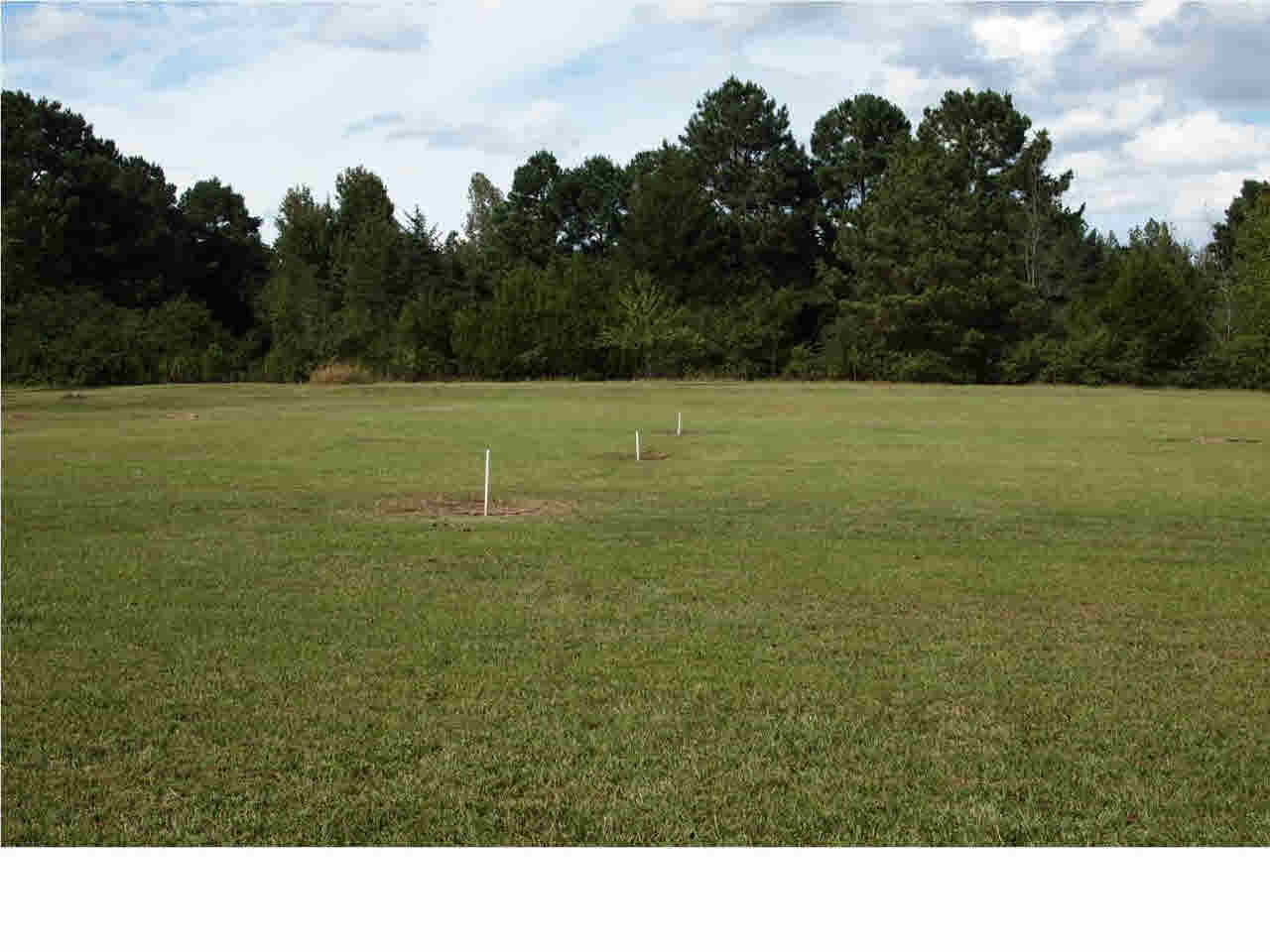 140 Cobbville Road Canton, MS 39046 - Photo 36 of 37 Photo 36