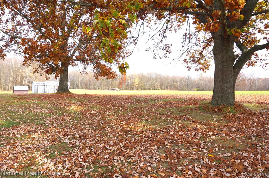 1755 South Kane Road Stockbridge, MI 49285 - Photo 9 of 32