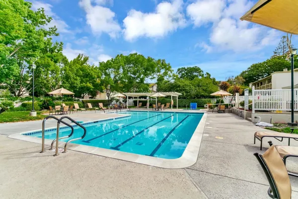 a view of a swimming pool with a bench and trees