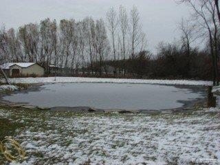 4721 Stewart Road Lapeer, MI 48446 - Photo 5 of 18 5