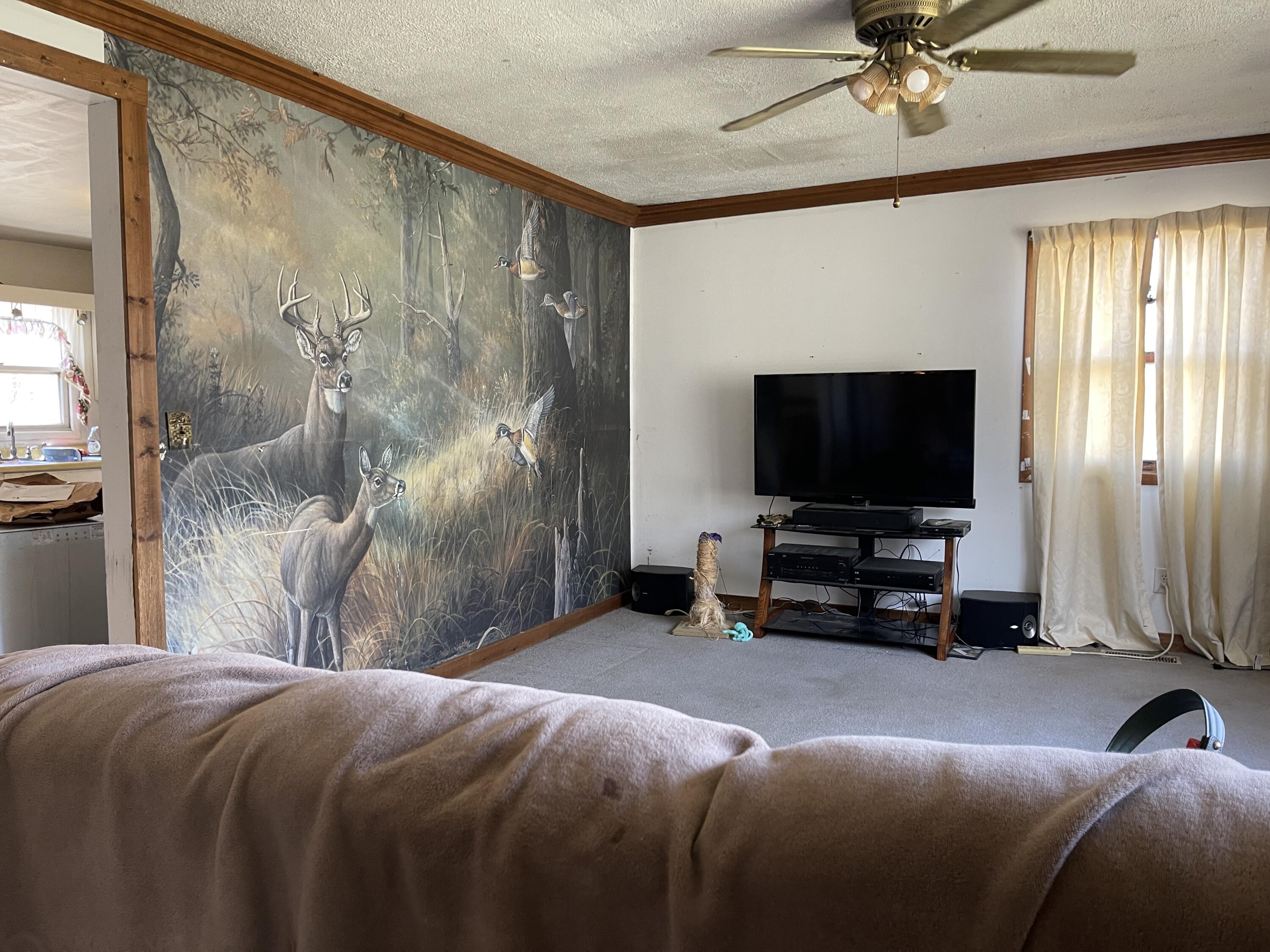 8700 Van Wert Road Homer, MI 49245 - Photo 7 of 19 IMG_0870