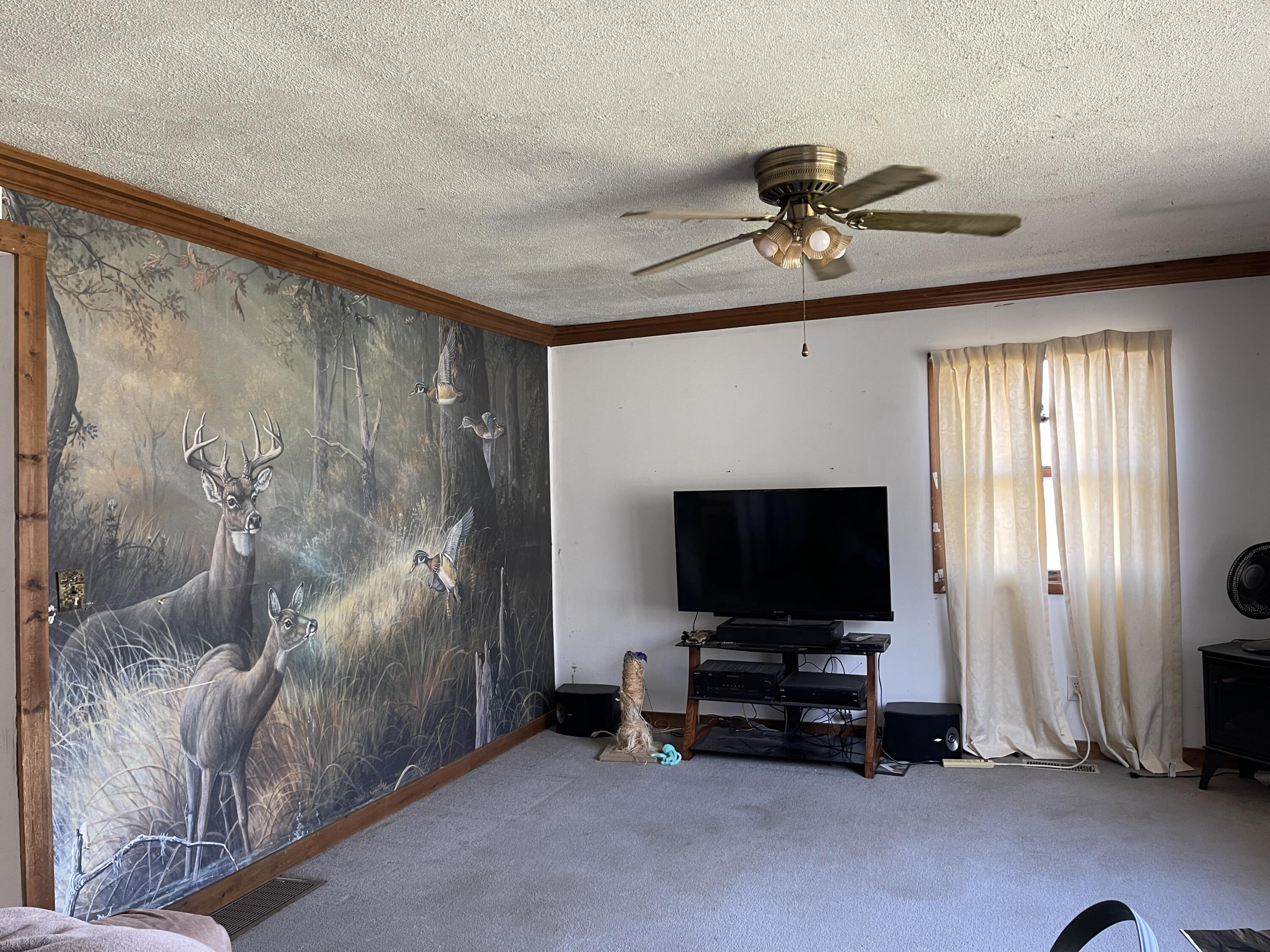 8700 Van Wert Road Homer, MI 49245 - Photo 8 of 19 IMG_0871