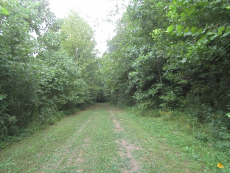 37 Modock Hollow Road Celina, TN 38551 - Photo 11 of 18 Gallery Image 11