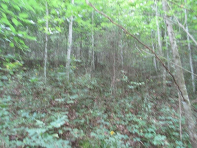 37 Modock Hollow Road Celina, TN 38551 - Photo 13 of 18 Gallery Image 13