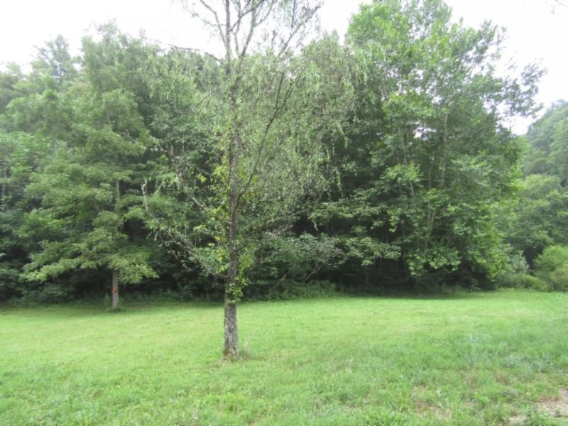 37 Modock Hollow Road Celina, TN 38551 - Photo 3 of 18 Gallery Image 3