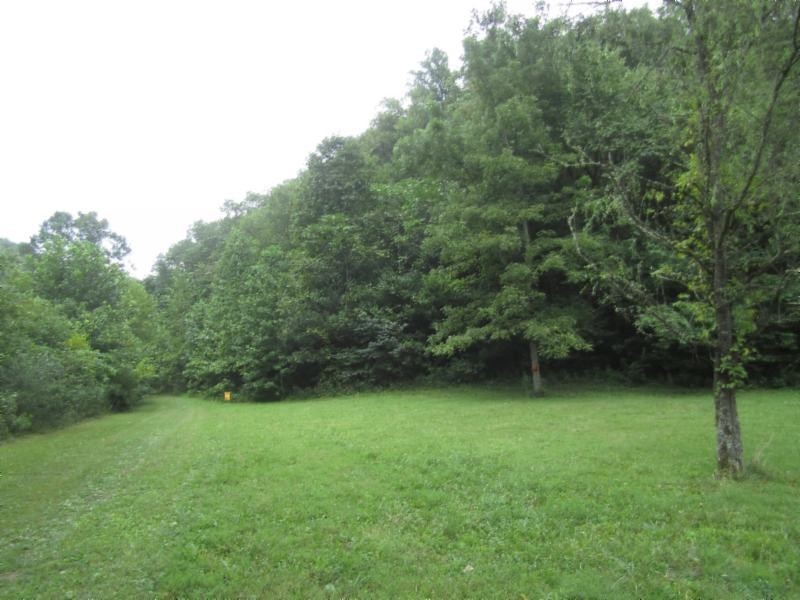 37 Modock Hollow Road Celina, TN 38551 - Photo 4 of 18 Gallery Image 4