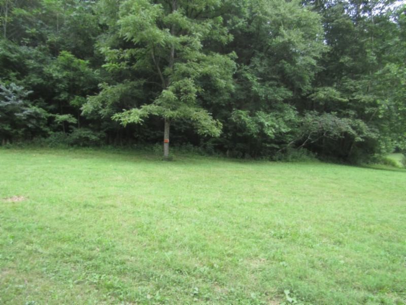 37 Modock Hollow Road Celina, TN 38551 - Photo 7 of 18 Gallery Image 7
