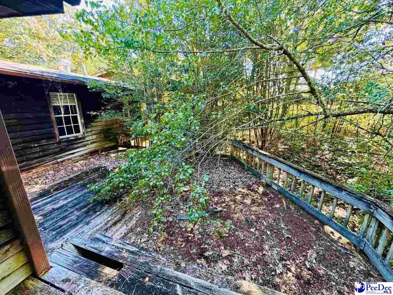 5027 Hatcher Hill Road Wallace, SC 29596 - Photo 8 of 37 Gallery Image 8