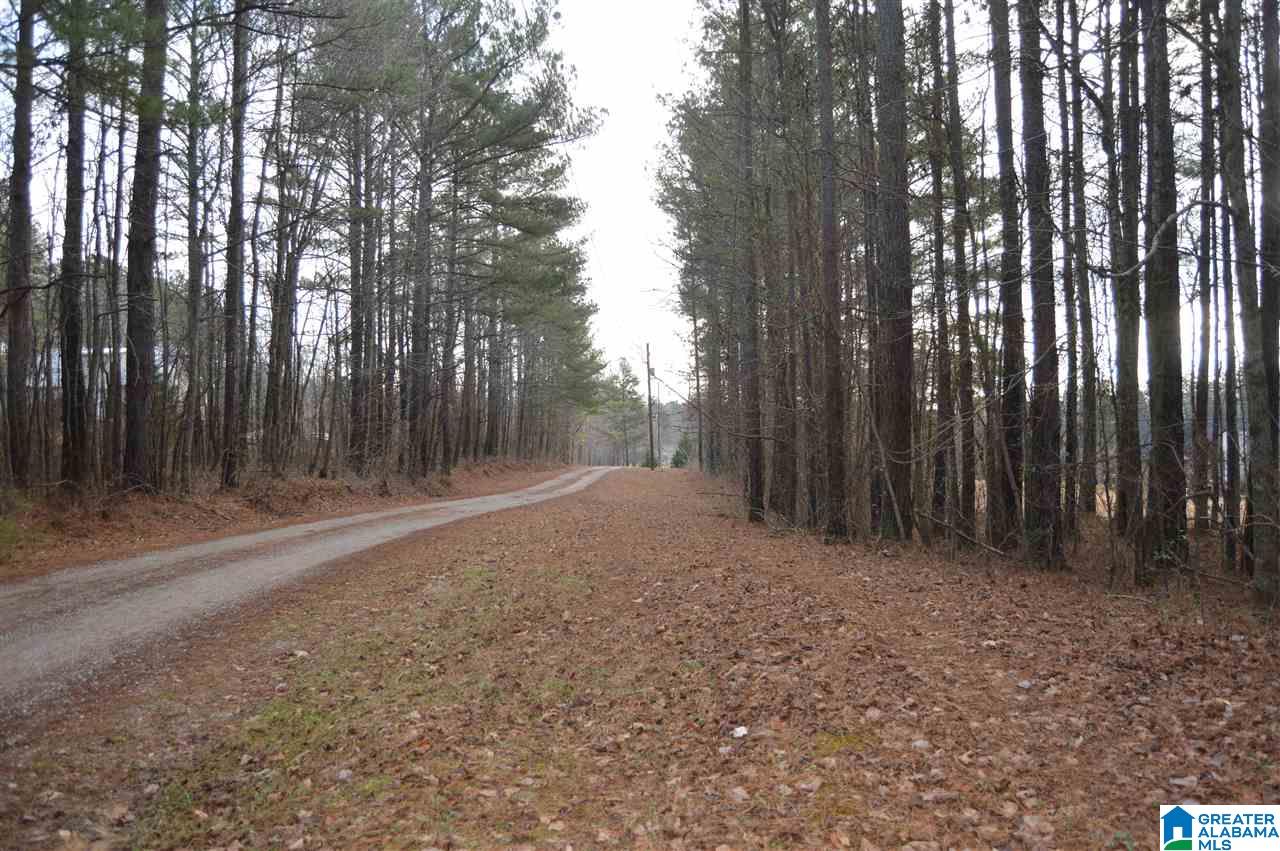 9776 Mcpherson Road, Unit 5 1 ACRES Warrior, AL 35180 - Photo 10 of 16 Gallery Image 10