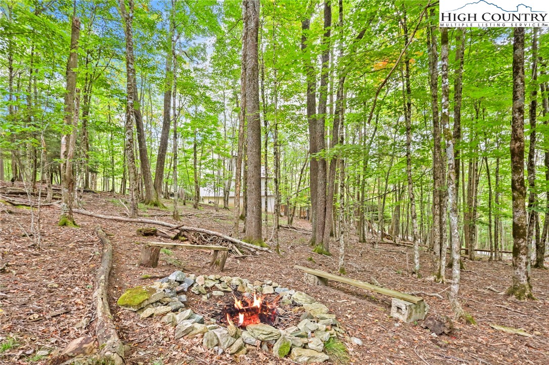 209 Tamarack Road Beech Mountain, NC 28604 - Photo 40 of 46