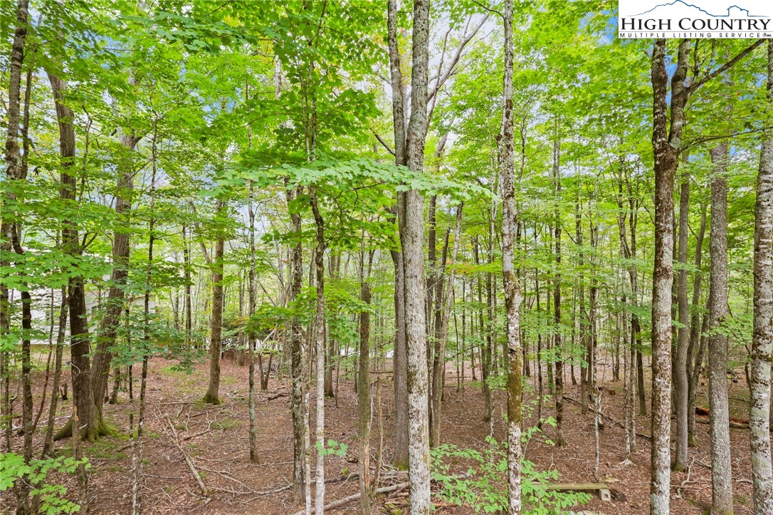 209 Tamarack Road Beech Mountain, NC 28604 - Photo 46 of 46