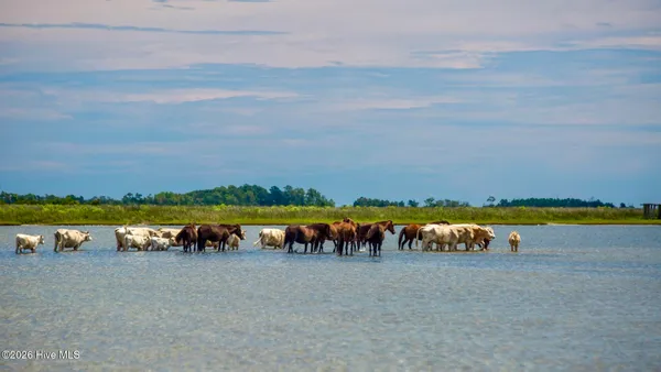 $215,000 | 2976 Cedar Island Road, Cedar Island, NC 28520