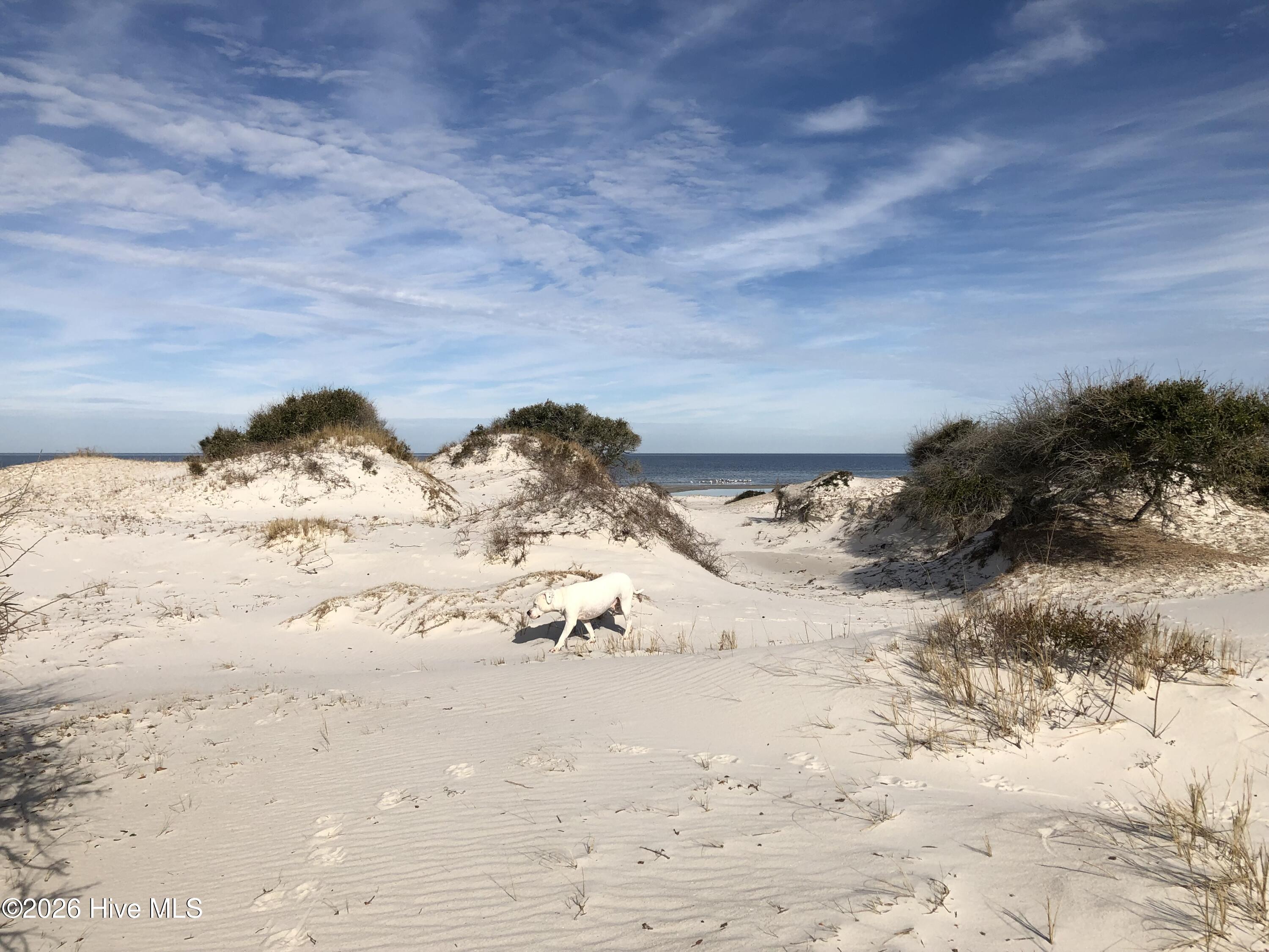 2976 Cedar Island Road Cedar Island, NC 28520 - Photo 29 of 31 IMG_9374