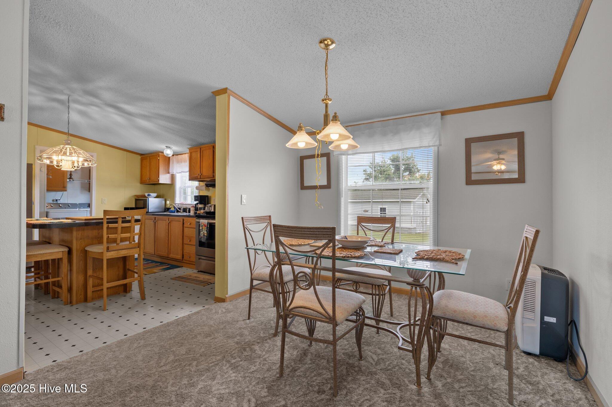 2976 Cedar Island Road Cedar Island, NC 28520 - Photo 4 of 24 26-web-or-mls-1S3A4296