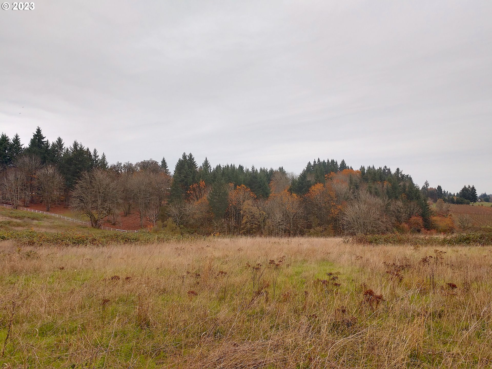 0 Southeast Walnut Hill Road Amity, OR 97101 - Photo 1 of 11