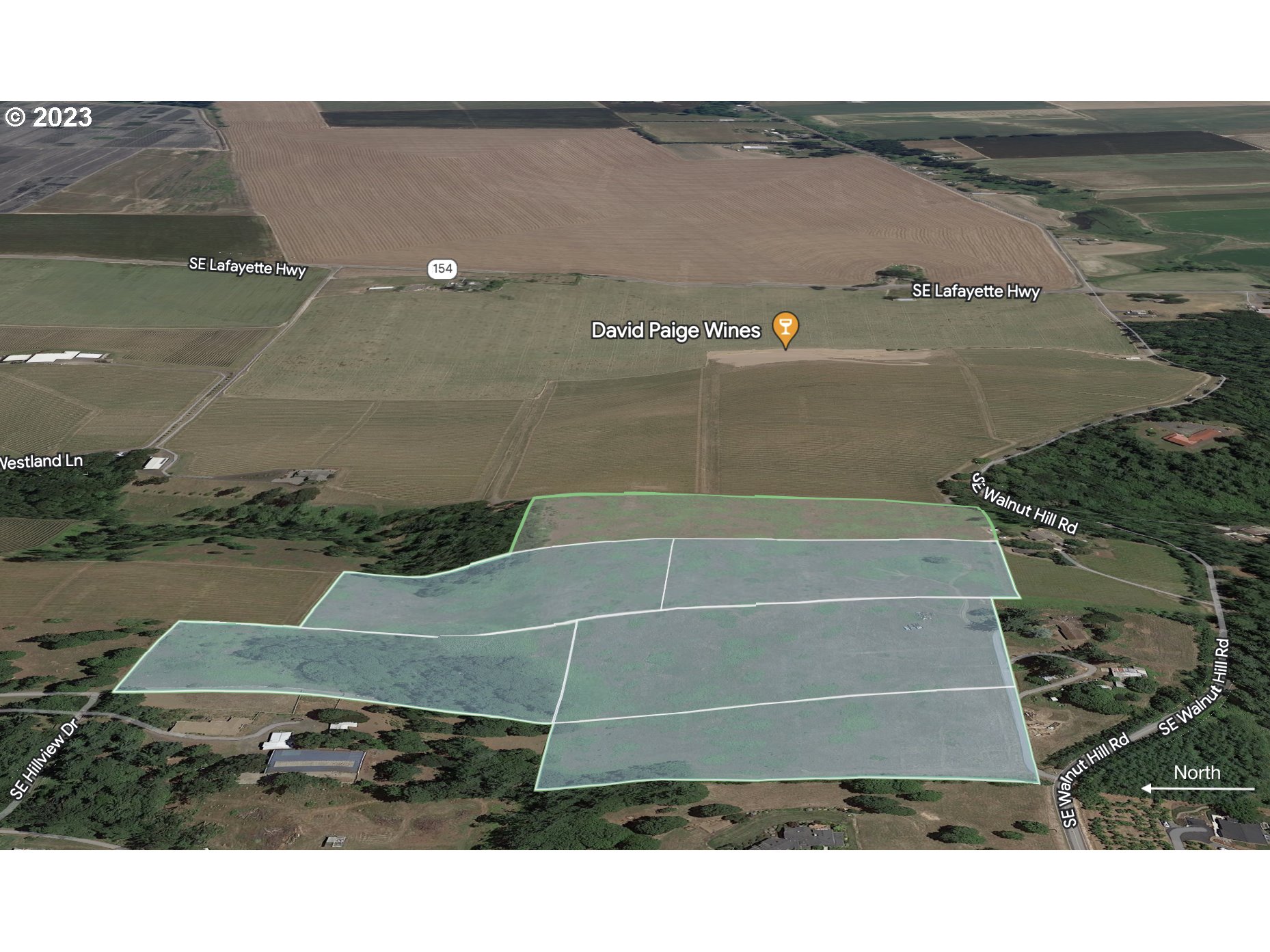 0 Southeast Walnut Hill Road Amity, OR 97101 - Photo 4 of 11