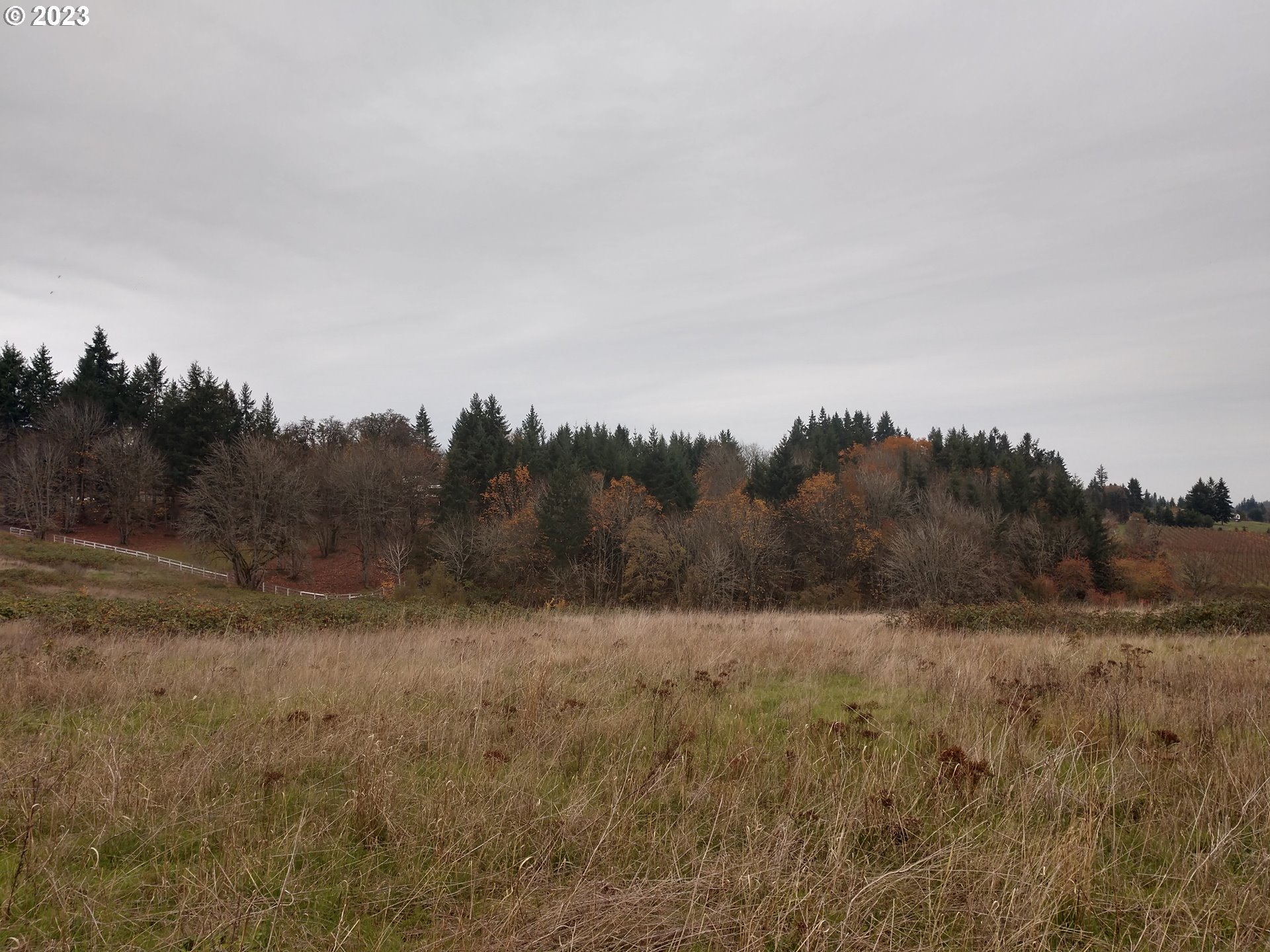 0 Southeast Walnut Hill Road Amity, OR 97101 - Photo 5 of 11