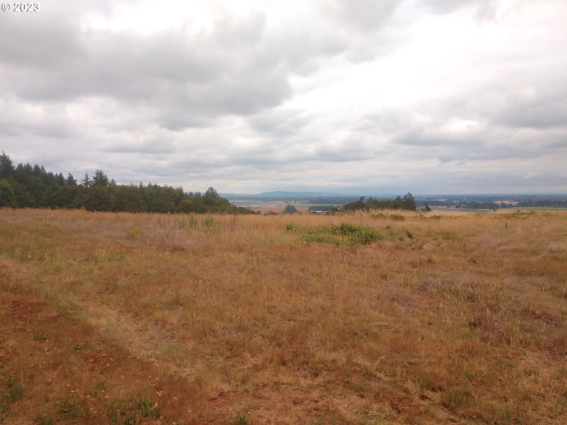 0 Southeast Walnut Hill Road Amity, OR 97101 - Photo 7 of 11