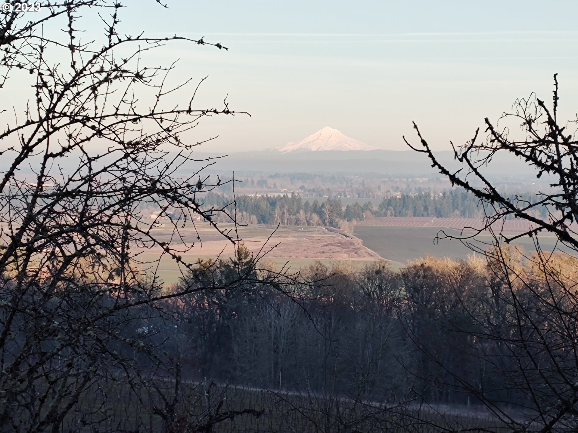 0 Southeast Walnut Hill Road Amity, OR 97101 - Photo 9 of 11