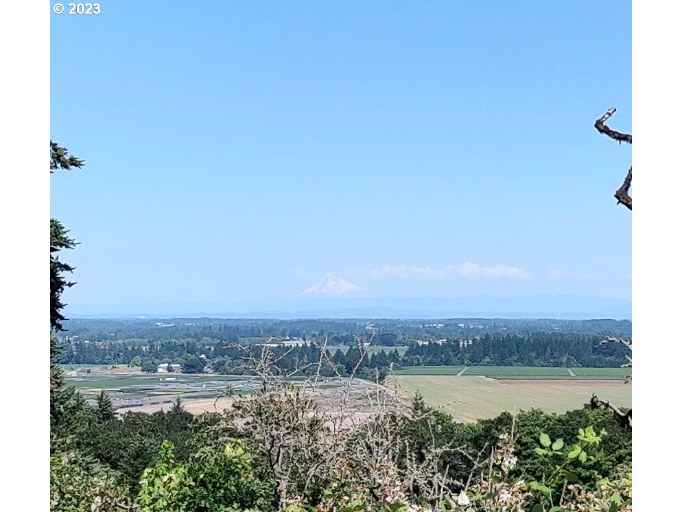 0 Southeast Walnut Hill Road Amity, OR 97101 - Photo 10 of 11