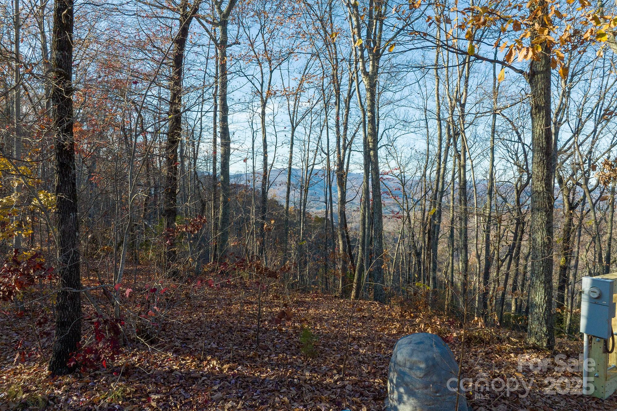 0 Shoal Ridge Union Mills, Unit 1 Union Mills, NC 28167 - Photo 17 of 20 a view of backyard with green space