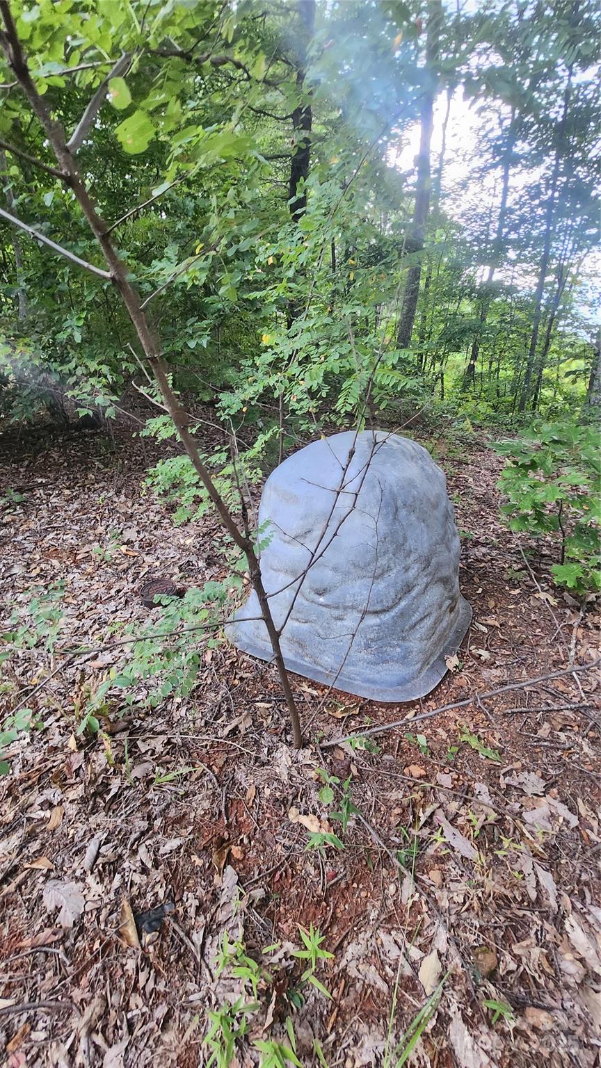 0 Shoal Ridge Union Mills, Unit 1 Union Mills, NC 28167 - Photo 18 of 20 a view of a backyard