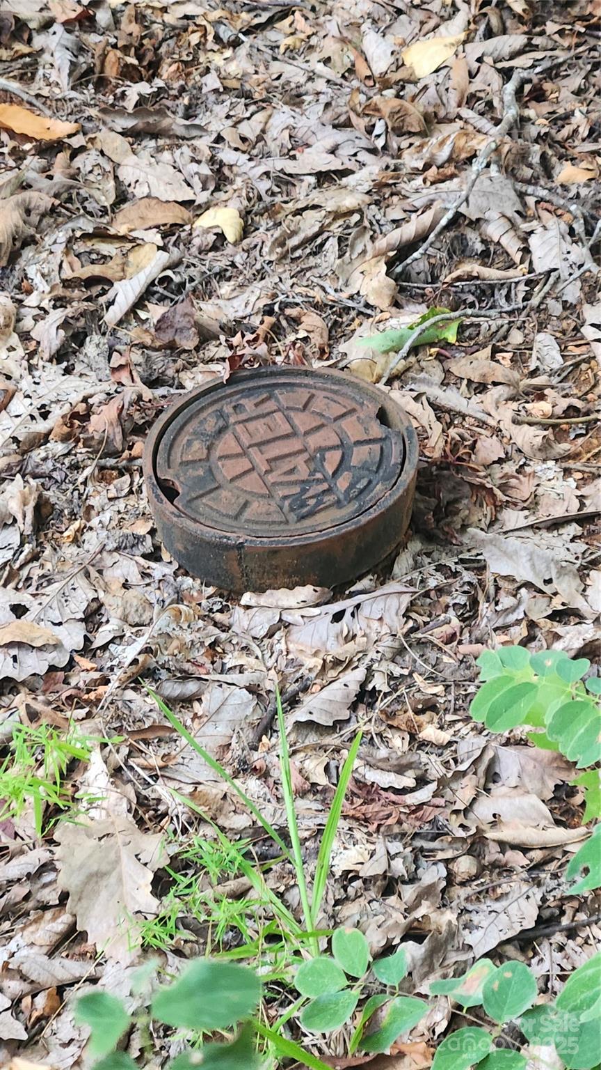 0 Shoal Ridge Union Mills, Unit 1 Union Mills, NC 28167 - Photo 19 of 20 a view of a dry yard with large trees