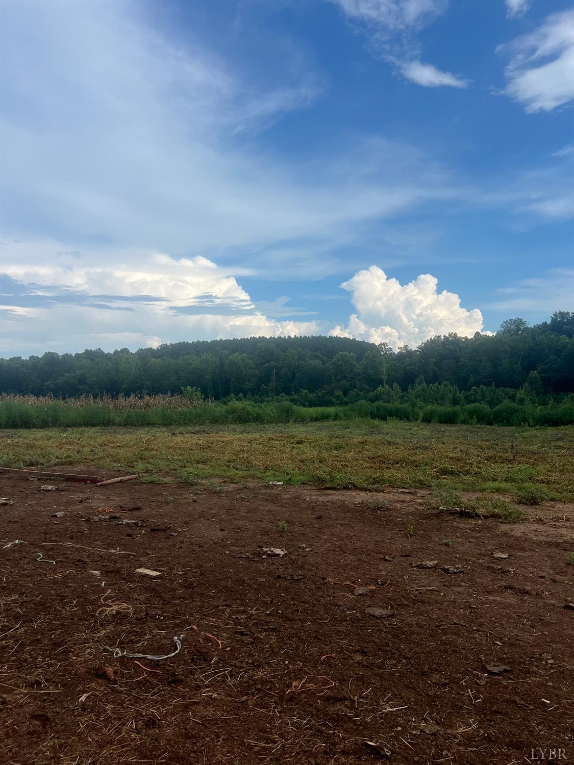 5253 Pigeon Run Road Gladys, VA 24554 - Photo 17 of 35