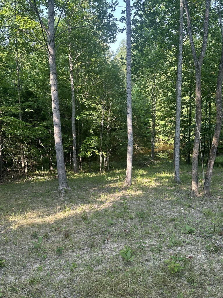 1410 Freeman Loop Cunningham, TN 37052 - Photo 29 of 30 Gallery Image 29