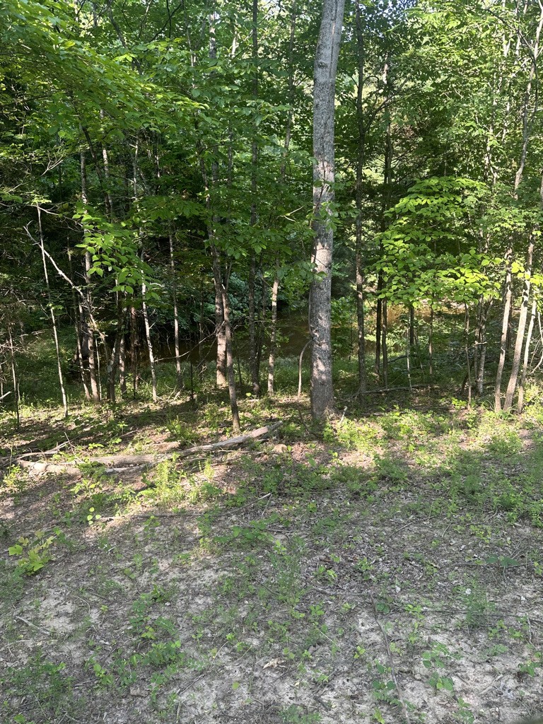 1410 Freeman Loop Cunningham, TN 37052 - Photo 30 of 30 Gallery Image 30