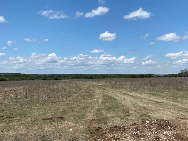 Lot 6 Cattle Trail Drive Kempner, TX 76539 - Photo 5 of 13 View of yard with a rural view