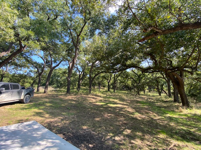 Lot 6 Cattle Trail Drive Kempner, TX 76539 - Photo 7 of 13 View of yard