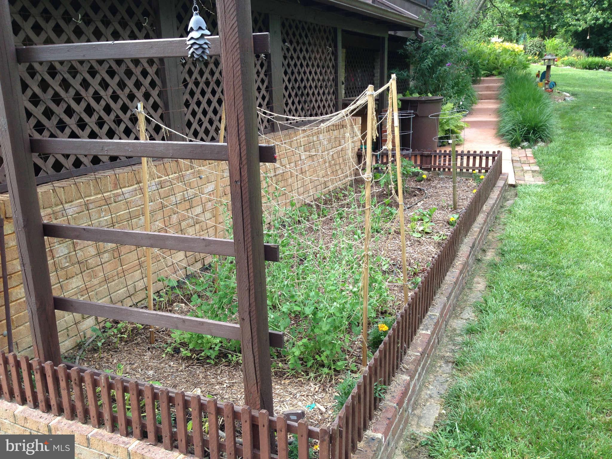 2299 Jones Road Winchester, VA 22602 - Photo 28 of 30 More Gardens
