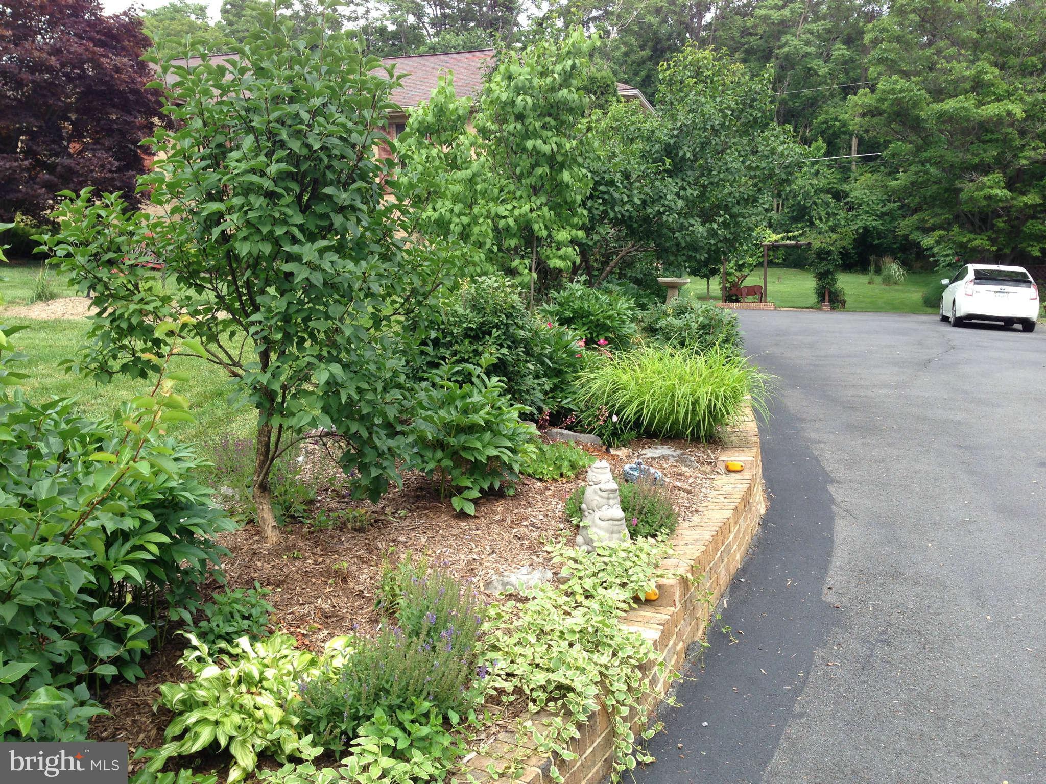 2299 Jones Road Winchester, VA 22602 - Photo 30 of 30 Driveway Gardens