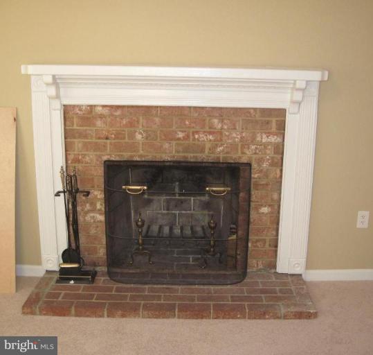 12018 Stuart Ridge Drive Herndon, VA 20170 - Photo 23 of 30 Fireplace
